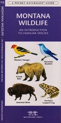 Natuurgids Montana Wildlife | Waterford press