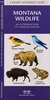 Natuurgids Montana Wildlife | Waterford press