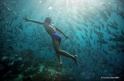 Fotoboek Human PLanet | BBC