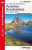 Wandelgids GR 8 en GR 10 Pyreneeën Pyrénées Occidentales -  Pays Basque et Béarn, d'Hendaye à Arrens, par le pic du Midi d'Ossau| FFRP  ref 1086