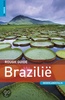 Reisgids Rough Guide Brazilië (NEDERLANDS) | Unieboek