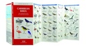 Natuurkaart - vogelkaart Caribbean Birds | Waterford press