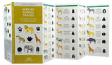 Natuurgids African Animal Tracks | Waterford Press |