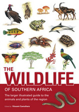 Natuurgids The Wildlife Of Southern Africa | Struik |