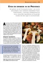 Reisgids Insight Guide Provence | Uitgeverij Cambium