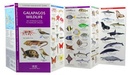 Vogelgids - Natuurgids Galapagos Wildlife | Waterford Press