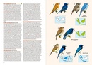 Vogelgids Birds of the Indonesian Archipelago | Lynx