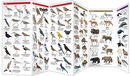 Vogelgids - Natuurgids Alaska Wildlife An introduction to familiar species | Waterford Press