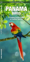 Panama Birds