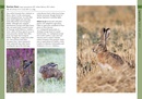 Natuurgids Mammals of Iberia | Bloomsbury