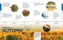 Reisgids Experience Tasmania - Tasmanie | Lonely Planet