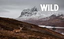 Reisgids Wild Guide Scotland - Schotland | Wild Things Publishing