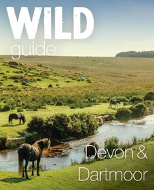 Reisgids Devon & Dartmoor : Mini adventures, secret places & local food | Wild Things Publishing