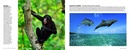 Reisgids The A-Z of Wildlife Watching | Lonely Planet