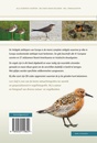Natuurgids - Vogelgids Veldgids Steltlopers van Europa | KNNV Uitgeverij