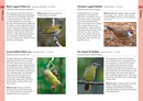 Vogelgids Birds of Bali, Sumatra and Java | Bloomsbury