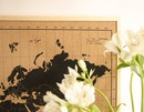 Wereldkaart van kurk World Map Corkboard 70 x 50 cm | Milimetrado