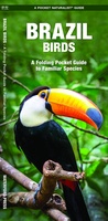 Brazil Birds - Brazilië