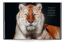 Fotoboek Fragile | teNeues