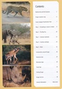 Reisgids Kruger National Park official guide | Jacana maps