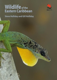 Natuurgids Wildlife of the Eastern Caribbean | Princeton University Press