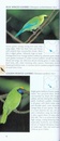 Vogelgids - Natuurgids Pocket Photo Guide Birds of China | Bloomsbury