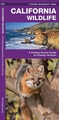 Natuurgids - Vogelgids California Wildlife | Waterford Press