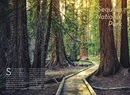 Reisgids Yosemite and Sequoia / Kings Canyon National Parks | Fodor's Travel
