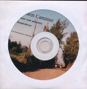 Woordenboek Buen Camino - Spaans voor pelgrims Taalgids + CD | Martinez