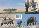 Natuurgids - Etosha National Park - Etosha Nationaal Park -  | Venture Publications