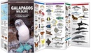 Vogelgids - Natuurgids Galapagos Wildlife | Waterford Press