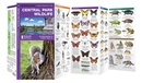 Natuurgids Central Park Wildlife New York | Waterford Press