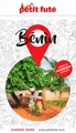 Reisgids Benin | Petit Futé