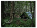 Campinggids Almost Wild Camping | Punk Publishing