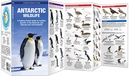 Vogelgids - Natuurgids Antarctic Wildlife | Waterford Press