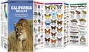 Natuurgids - Vogelgids California Wildlife | Waterford Press