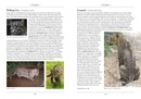 Natuurgids a Naturalist's guide to the Mammals of Sri Lanka | John Beaufoy