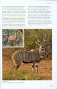 Natuurgids A Field Guide to the Larger Mammals of Tanzania | Princeton University