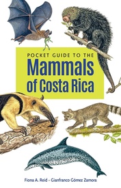 Natuurgids Pocket Guide to the Mammals of Costa Rica | Comstock Publishing Associates