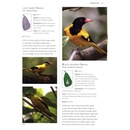 Vogelgids A photographic field guide to the The Birds of Sri Lanka | John Beaufoy