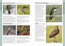 Vogelgids Birds of Uruguay | Bloomsbury