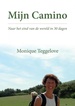 Reisverhaal Mijn Camino | Monique Teggelove