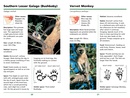 Natuurgids First Field Guide to Animal Tracks of Southern Africa | Struik Nature