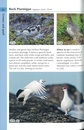 Vogelgids Birds of Finland | Bloomsbury