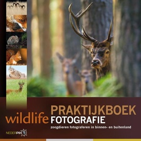 Reisfotografiegids Praktijkboek wildlife fotografie | Vrije uitgevers