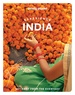 Reisgids Experience India | Lonely Planet