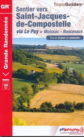 Wandelgids 653 Sentier vers Saint-Jacques-de-Compostelle via Le Puy Moissac - Roncevaux GR65 | FFRP