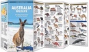 Vogelgids - Natuurgids Australian Wildlife (Australië) | Waterford Press
