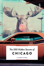 Reisgids Chicago | Luster