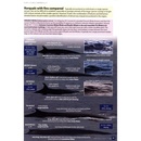 Natuurgids Europe's Sea Mammals Including the Azores, Madeira, the Canary Islands and Cape Verde | Princeton University Press